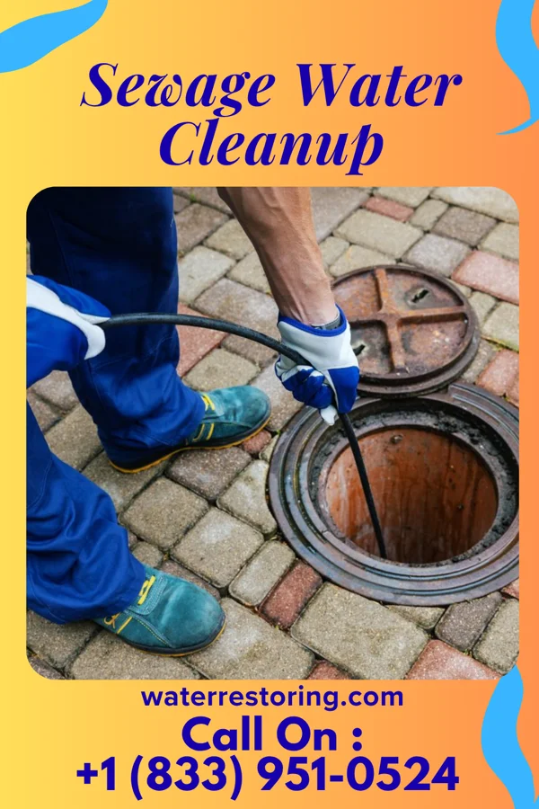 Sewage Water Cleanup in Goshen, AL