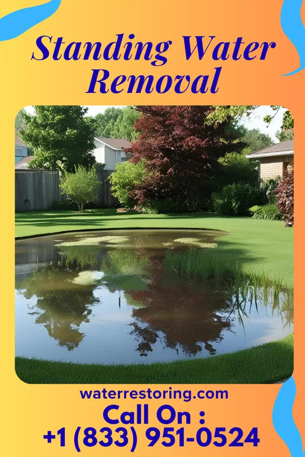 Standing Water Removal in Goshen, AL